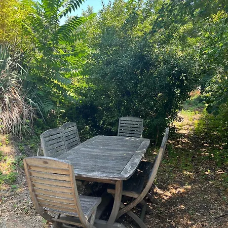 Au Calme Avec Parking Prive A 5min Du Centre Apartment Digne-les-Bains